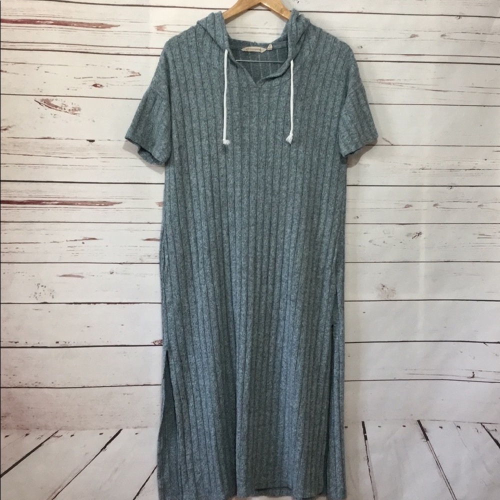 Soft Surroundings cozy hooded sweater dress